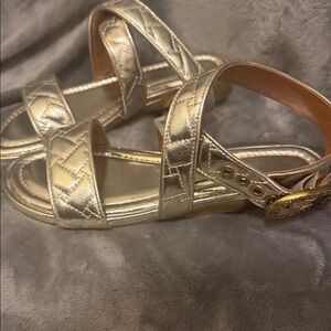 Gold Metallic Belt with Buckle